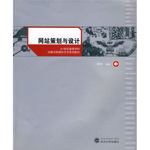 新书正版 网站策划与设计(含光盘1张)  9787307073838 武汉大学
